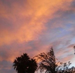 Meet your Posher, Jaime